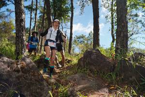 BIB: 5332
                            <button type="button" onclick="openModal(18934447)" class="btn btn-primary btn-sm float-right btn-popup" data-toggle="modal" data-target=".modal-high-quality">
                        <i class="fas fa-shopping-cart"></i> Add to Cart
                    </button>
                                            <button type="button" onclick="isThisMe(18934447, true)" class="btn btn-success btn-sm float-right btn-popup btn-isme hidden" data-toggle="tooltip" data-placement="bottom" title="นี่คือรูปของคุณใช่ไหม คลิกที่นี่เพื่อเอาเข้าอัลบั้ม">
                        <i class="fas fa-plus"></i> Add to album
                    </button>
                    <button type="button" onclick="isThisMe(18934447, false)" class="btn btn-warning btn-sm float-right btn-popup btn-isnotme hidden">
                        <i class="fas fa-ban"></i> Remove from album
                    </button>